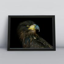 Quadro com moldura Ave Ave-18-M1