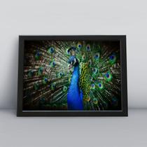 Quadro com moldura Ave Ave-22-M1 Quadro com moldura Ave Ave-22-M1