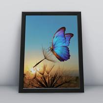 Quadro com moldura Borboleta Borboleta-01-M1 Quadro com moldura Borboleta Borboleta-01-M1