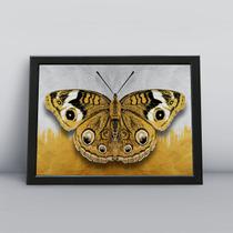 Quadro com moldura Borboleta Borboleta-08-M1 Quadro com moldura Borboleta Borboleta-08-M1