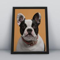 Quadro com moldura Cachorro Cachorro-026-M1 Quadro com moldura Cachorro Cachorro-026-M1