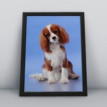 Quadro com moldura Cachorro Cachorro-027-M1 Quadro com moldura Cachorro Cachorro-027-M1