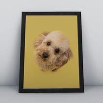 Quadro com moldura Cachorro Cachorro-040-M1 Quadro com moldura Cachorro Cachorro-040-M1