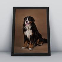 Quadro com moldura Cachorro Cachorro-046-M1 Quadro com moldura Cachorro Cachorro-046-M1
