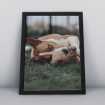 Quadro com moldura Cachorro Cachorro-064-M1 Quadro com moldura Cachorro Cachorro-064-M1