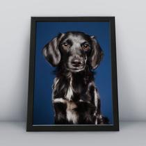 Quadro com moldura Cachorro Cachorro-070-M1 Quadro com moldura Cachorro Cachorro-070-M1