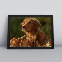 Quadro com moldura Cachorro Cachorro-205-M1 Quadro com moldura Cachorro Cachorro-205-M1