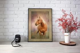 Quadro Com Moldura Cavalo Marrom Quadro Com Moldura Cavalo Marrom