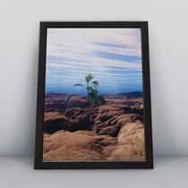 Quadro com moldura Deserto 17