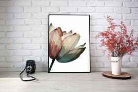 Quadro Com Moldura Flor Lateral Multicolorida
