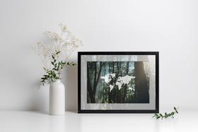 Quadro Com Moldura Floresta Mapa Mundi