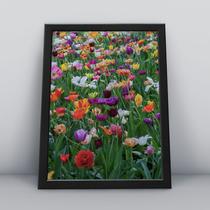 Quadro com moldura Primavera 03