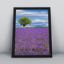 Quadro com moldura Primavera 05 Quadro com moldura Primavera 05