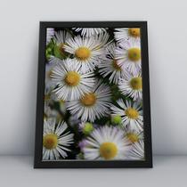 Quadro com moldura Primavera 13 Quadro com moldura Primavera 13
