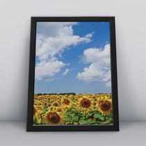 Quadro com moldura Primavera 19 Quadro com moldura Primavera 19