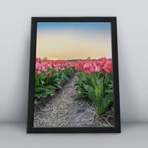 Quadro com moldura Primavera 20 Quadro com moldura Primavera 20
