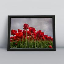 Quadro com moldura Primavera 37 Quadro com moldura Primavera 37