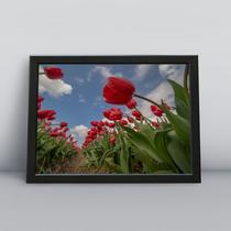 Quadro com moldura Primavera 38 Quadro com moldura Primavera 38