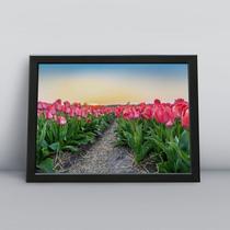 Quadro com moldura Primavera 43 Quadro com moldura Primavera 43