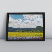Quadro com moldura Primavera 44 Quadro com moldura Primavera 44