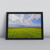Quadro com moldura Primavera 51 Quadro com moldura Primavera 51