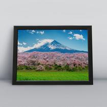 Quadro com moldura Primavera 53 Quadro com moldura Primavera 53
