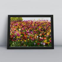 Quadro com moldura Primavera 55 Quadro com moldura Primavera 55
