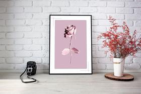 Quadro Com Moldura Rosa Tinta Escorrida