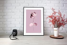 Quadro Com Moldura Rosa Tinta Escorrida