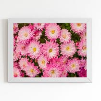 Quadro Crisântemo Rosa Flores Foto Moldura Branca 60x40cm Quadro Crisântemo Rosa Flores Foto Moldura Branca 60x40cm