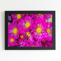 Quadro Crisântemo Rosa Foto Flores Moldura Preta 60x40cm