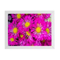 Quadro Crisântemo Roxo Foto Flores Moldura Branca 60X40Cm