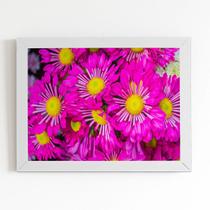 Quadro Crisântemo Roxo Foto Flores Moldura Branca 60x40cm Quadro Crisântemo Roxo Foto Flores Moldura Branca 60x40cm