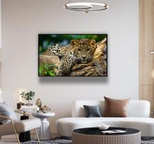 quadro de animal - jaguar in a tree