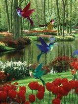 Quadro de Beija-flor voando no lago entre as flores