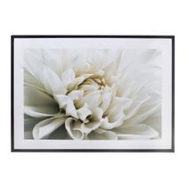 Quadro de Parede com Moldura Flor 50cm Espressione