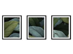 Quadro decor canvas preto 30x66 folhas tropicais modelo 63