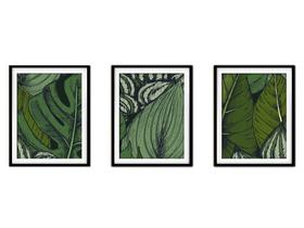 Quadro decor canvas preto 55x110 folhas tropicais modelo 57