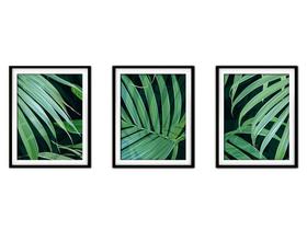 Quadro decor délicat preto 68x126 folhas tropicais mod 154