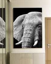 Quadro Decorartivo Elefante Canvas 60x90 - Foto Paulista