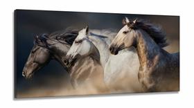 Quadro Decorativo 3 Cavalos em Tecido canvas 130x60