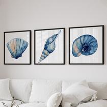 Quadro Decorativo 3 Telas Conchas Diversos Tamanhos Branco