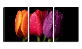 Quadro Decorativo 30x66 água em três tulipas coloridas
