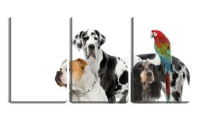 Quadro Decorativo 30x66 arara colorida e cães