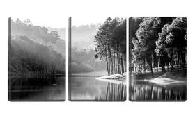 Quadro Decorativo 30x66 árvores na beira do lago pb