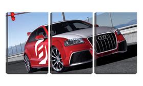 Quadro Decorativo 30x66 audi de corrida na estrada