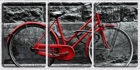 Quadro Decorativo 30x66 bicicleta vermelha arte pb