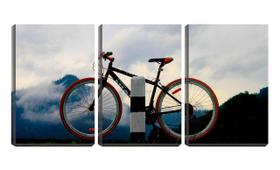 Quadro Decorativo 30x66 bike encostada na viga