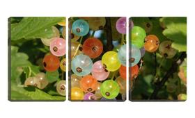 Quadro Decorativo 30x66 bolinhas coloridas de planta