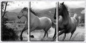 Quadro Decorativo 30x66 dois cavalos pb arte